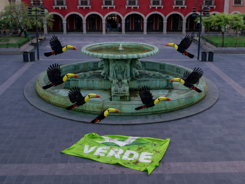 cuando los tucanes vuelan y el Verde se fractura en Guanajuato